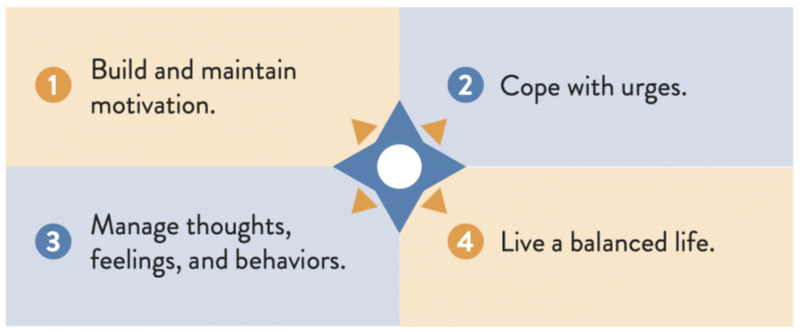 SMART Recovery test blog